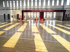 山东沾化第三小学体育活动中心单龙