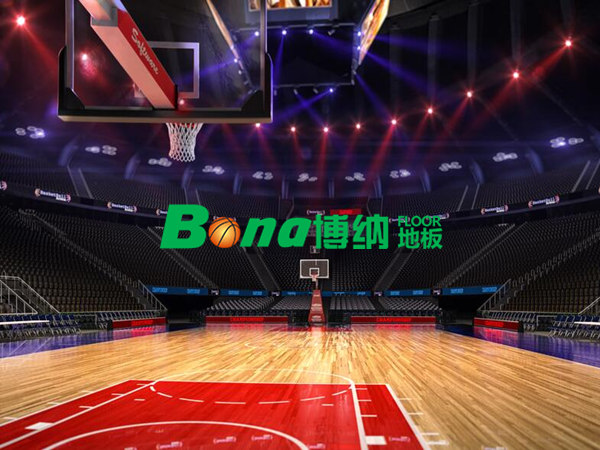 NBA专用篮球馆