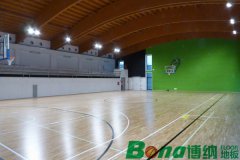 中国体育运动木地板行业的机遇与危机