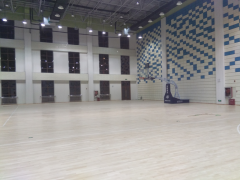 体育馆运动木地板各层结构的选材与安装